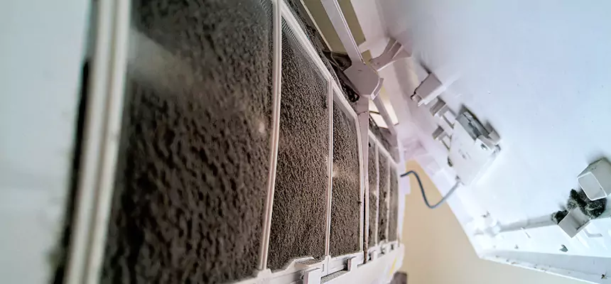 Preventive Air Duct Bacteria Removal in Linton Hall