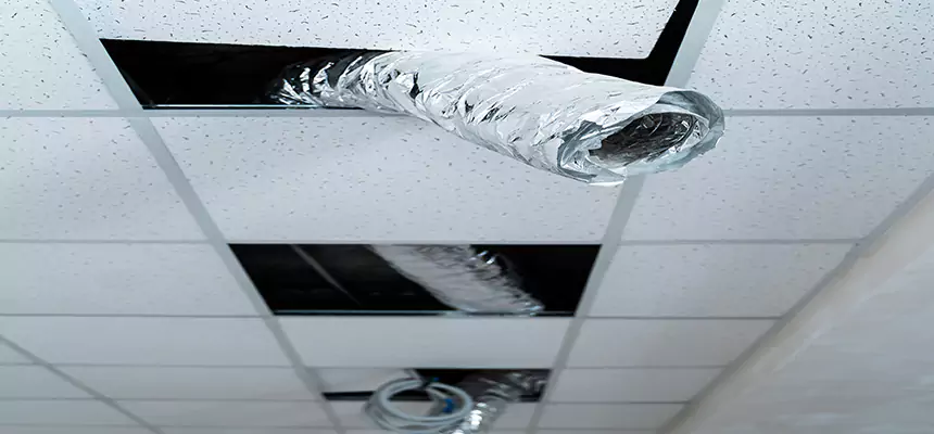 Affordable HVAC Sanitizing After Pest Removal in Linton Hall