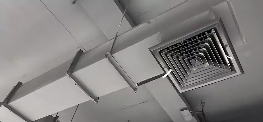 Our Rodent Droppings In Vents Services in Linton Hall, VA