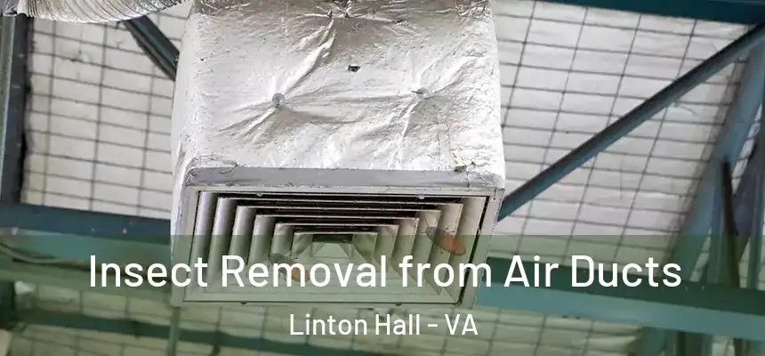  Insect Removal from Air Ducts Linton Hall - VA