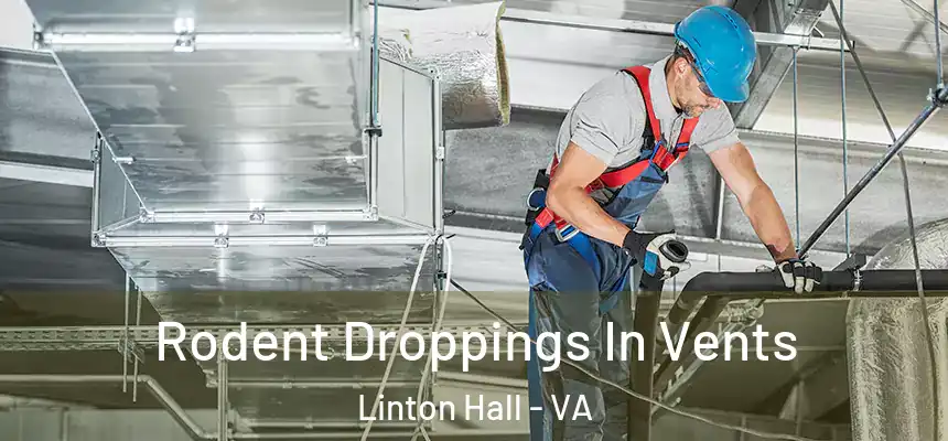  Rodent Droppings In Vents Linton Hall - VA