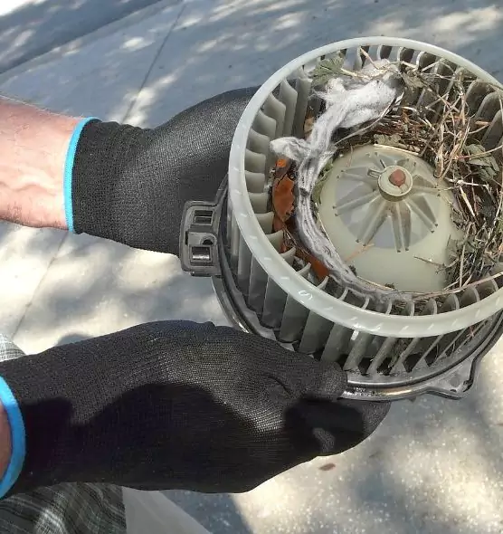 About Air Duct Mice Removal in Linton Hall, VA