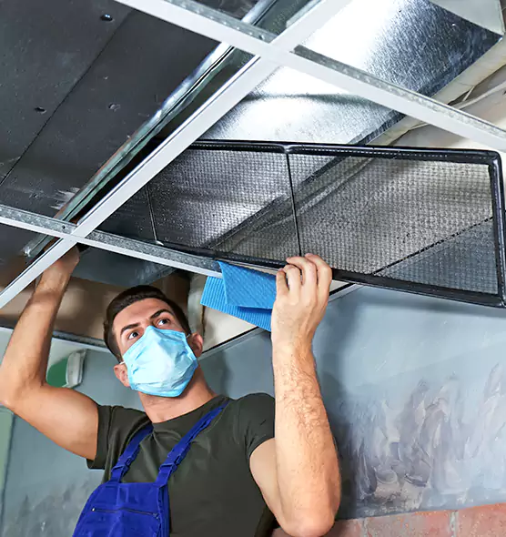 Professional Air Duct Pollen Cleaning in Linton Hall, VA