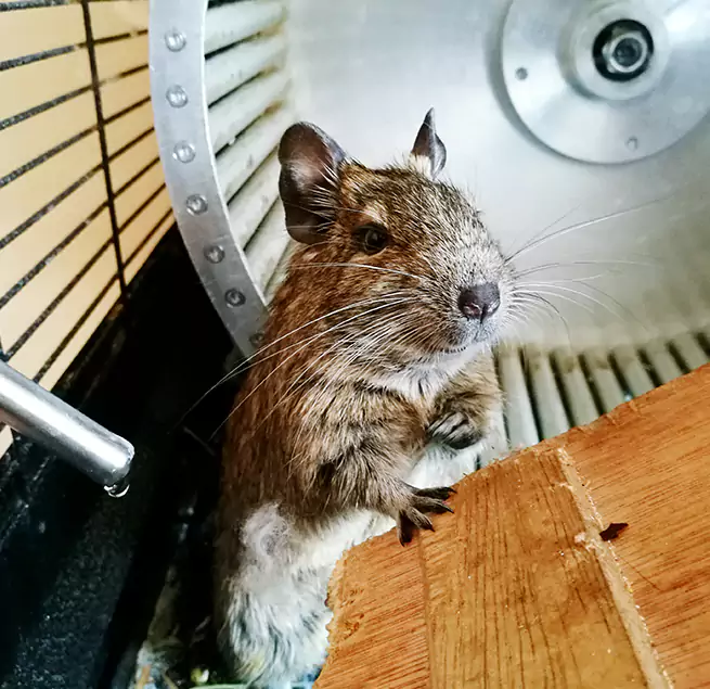 Why Homeowners & Businesses Trust Us Linton Hall, VA