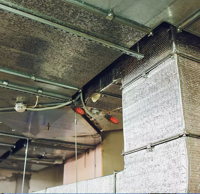 Why Homeowners & Businesses Trust Us Linton Hall, VA?